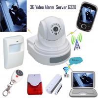 Large picture 3G Video Alarm with PIR
