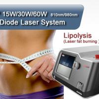 Large picture Liposuction Medical Laser 30w