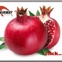 Large picture Pomegranate Extract powder