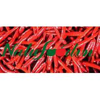 Large picture Red chilli
