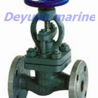 Large picture sea water globe valve