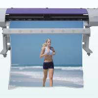 Large picture Solvent Inkjet Printer