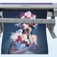 Large picture inkjet printer