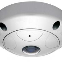 Large picture H.264 2M Fish-Eye Panorama ip Dome Camera