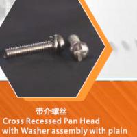 Large picture SS Cross Recessed Pan Head Screws