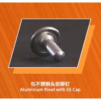 Large picture Aluminium Rivet With SS Cap