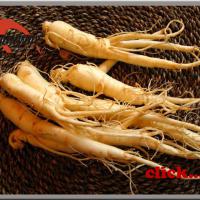Large picture Herbal extract, Ginseng Extract, NLT 10%, 20%, 80%