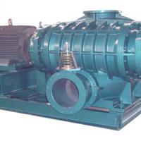 Large picture rotary lobe blower