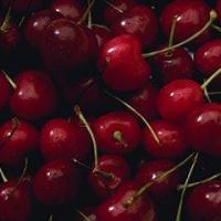 Large picture Sour cherry juice concentrate