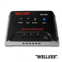 Large picture WS-L2430 Wellsee Solar Light Controller