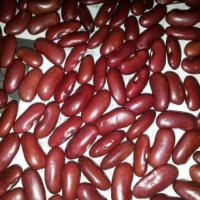 Large picture red kidney beans