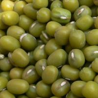 Large picture green mung beans