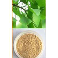 Large picture Ginkgo biloba extract