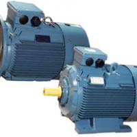 Large picture YE2 electric motor