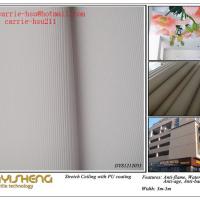Large picture 3D Effect Stretch Ceiling Fabric