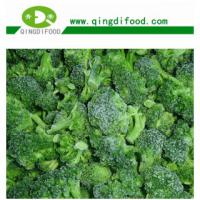 Large picture IQF broccoli florets
