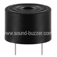 Large picture Magnetic Buzzer (MSES10A)