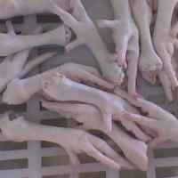 Large picture Frozen Chicken Feet and Paw Grade A