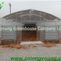 Large picture Economical Tunnel Greenhouse