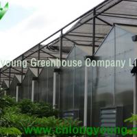 Large picture Polycarbonate Greenhouse