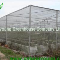 Large picture Netting House