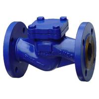 Large picture Din Check Valve