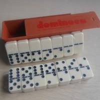Large picture dominoes in plastic box