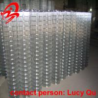 Large picture galvanized welded wire mesh