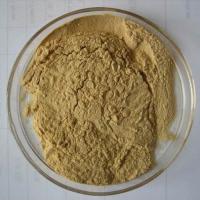 Large picture Gymnema Silvestre plant Extract