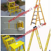 Large picture factory Straight fiberglass ladder