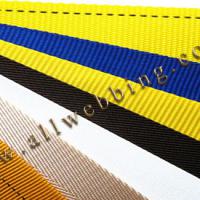 Large picture Polyester webbing