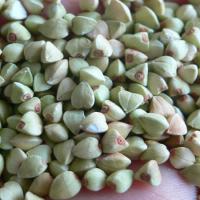 Large picture Hulled Buckwheat Kernels (Buckwheat groats)
