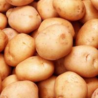 Large picture Potato