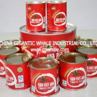 Large picture tomato paste 70g