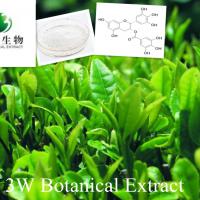 Large picture Green Tea Extract