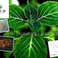 Large picture Yohimbine Extract