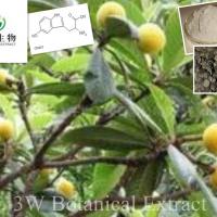 Large picture Griffonia Simplicifolia Seed Extract