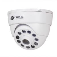 Large picture IR dome CCTV cameras