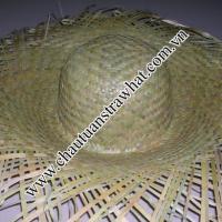 Large picture straw hat