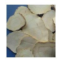 Large picture White Atractrylodes Extract