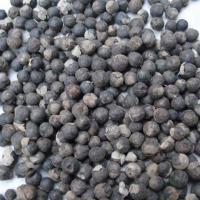 Large picture Vitex/Chasteberry Extract