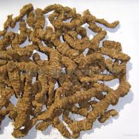 Large picture Valerian Root Extract