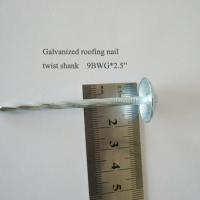 Large picture galvanized roofing nail iron wire wire mesh