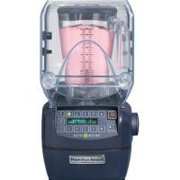 Large picture Summit High Performance Commercial Blender