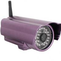 Large picture GPRS Camera with 1Megapixel,night vision
