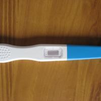 Large picture in vitro diagnostic pregnancy test