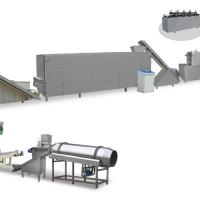Large picture web inflating food processing line
