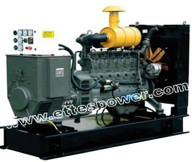 Ettes Power Ricardo Diesel Genset