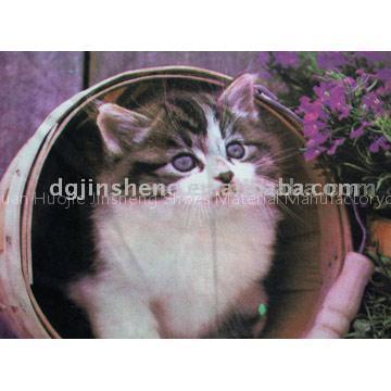 sublimation