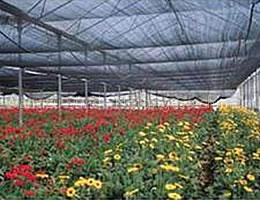 Agricultural Agricultural Shade Netting